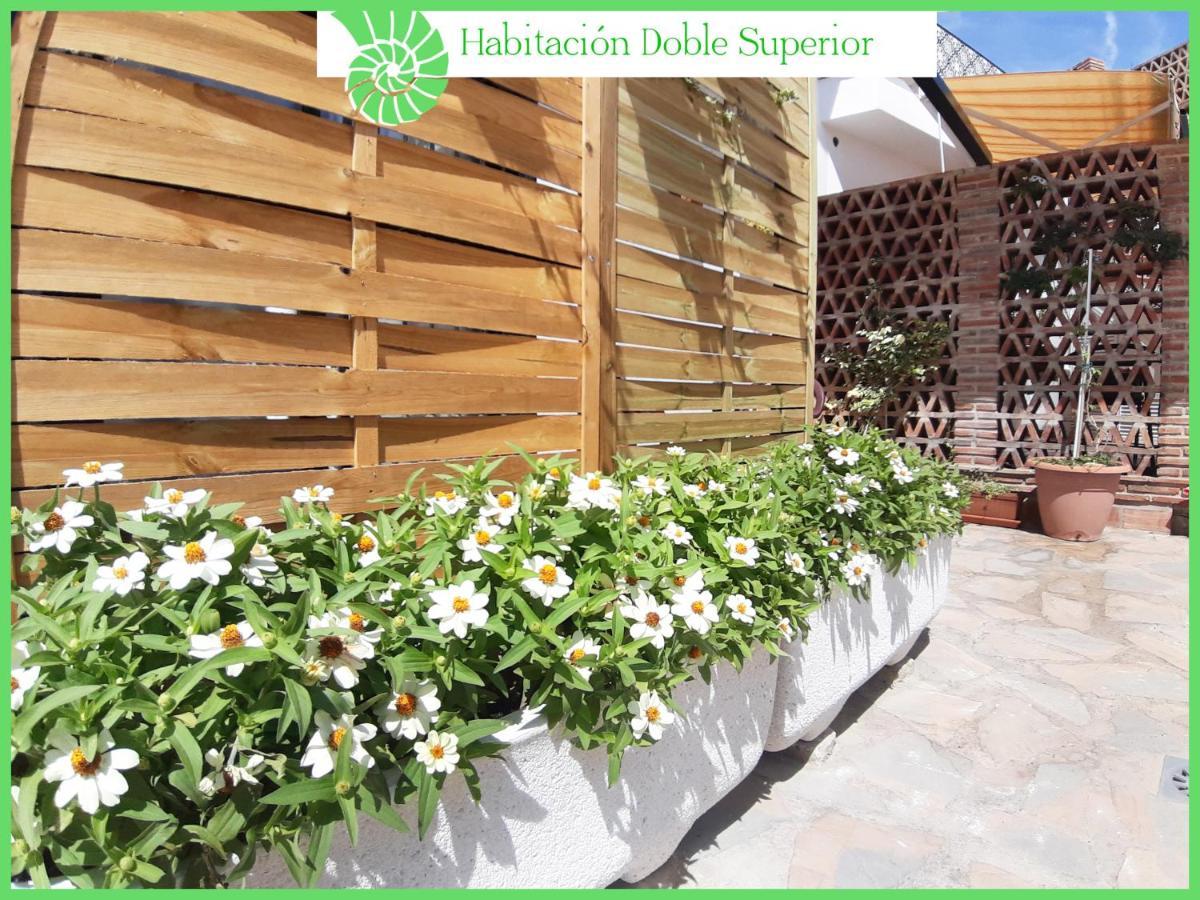 Biznaga Hols (Adults Only) Apartment เบนัลมาเดนา ภายนอก รูปภาพ